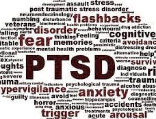 Holistic Approaches to PTSD: Beyond Traditional Therapy